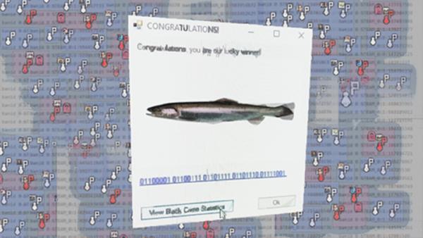 «Viruses in the Workshop» — Round Two