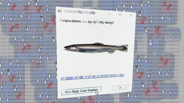 «Viruses in the Workshop» — Round Two